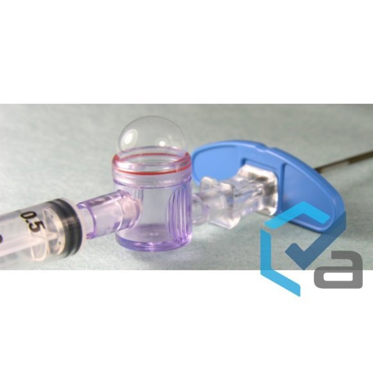 Epidrum