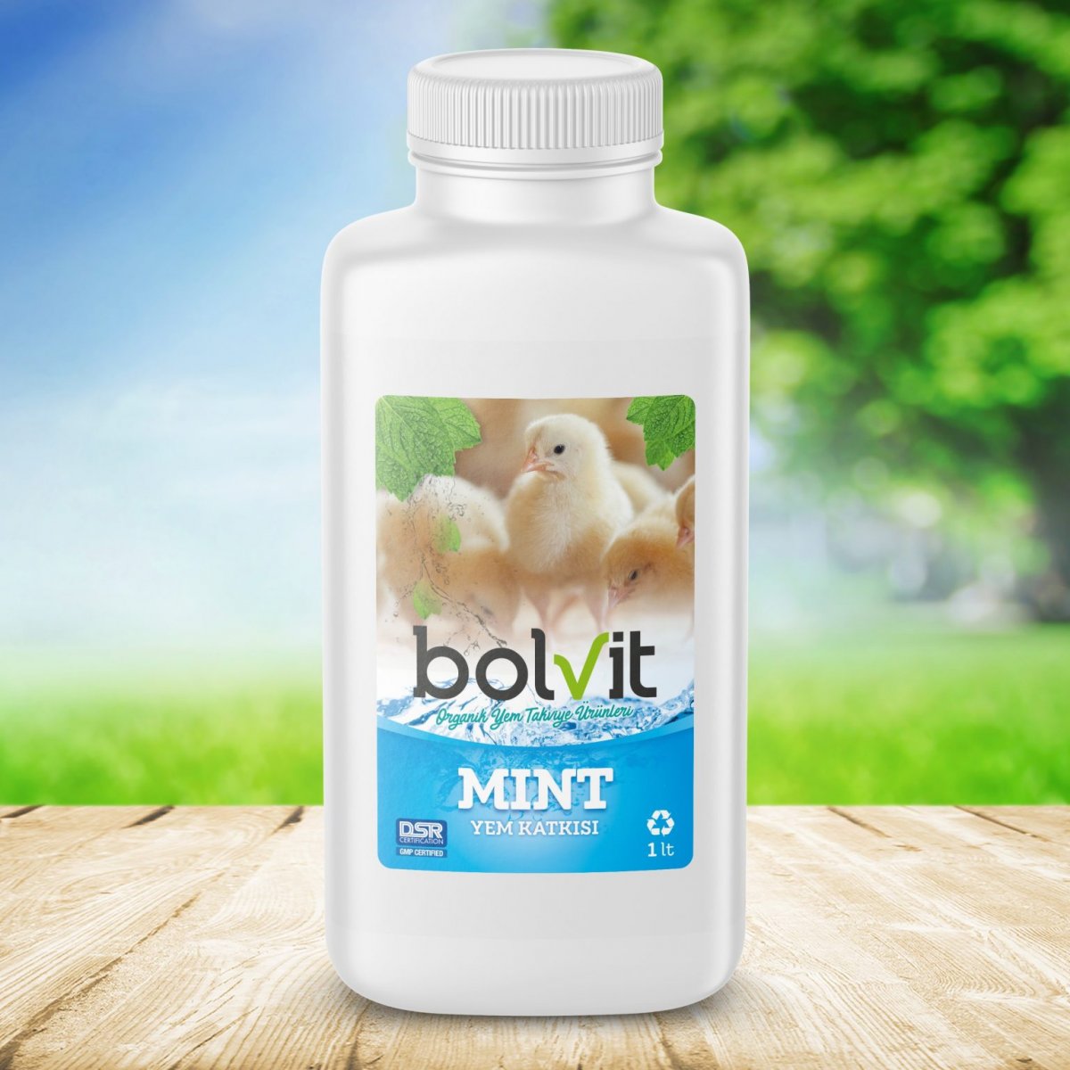 Bolvi Mint