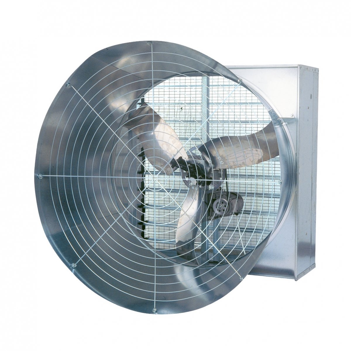 EC50 Konik Fan