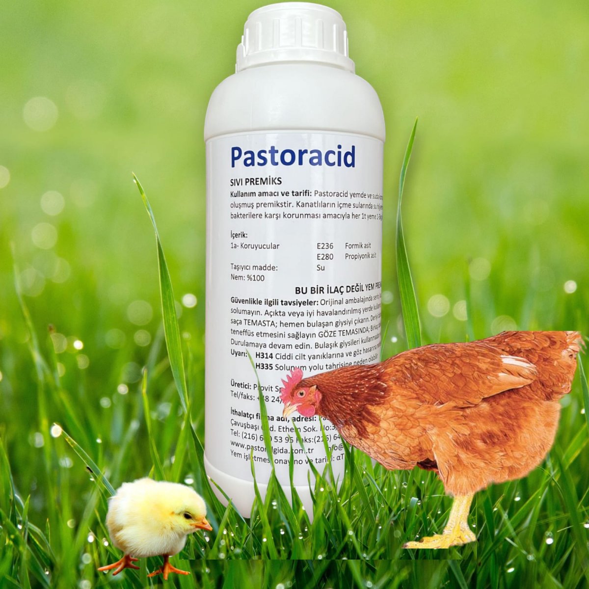 PASTORACID 